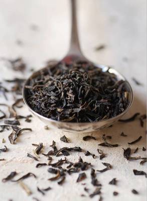 百年古树 龙脊茶香 野生红茶里的时间密码